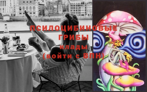 a pvp Алексин